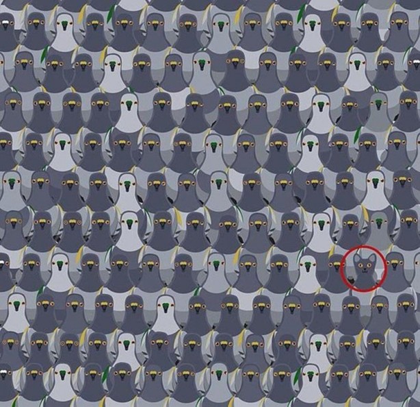 Foto - Süper Mario aşağıya mı yoksa yukarıya mı koşuyor? Sosyal medyayı karıştırdı