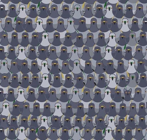 Foto - Süper Mario aşağıya mı yoksa yukarıya mı koşuyor? Sosyal medyayı karıştırdı