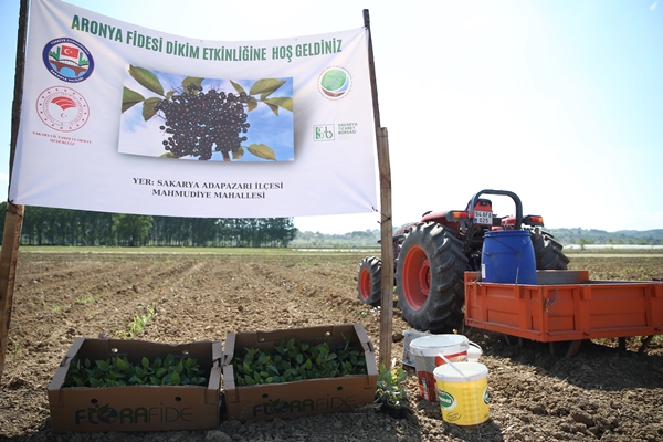 Foto - "Süper meyve" için harekete geçildi... Kent ekonomisine büyük katkı sağlayacak