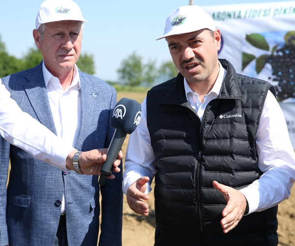 Foto - "Süper meyve" için harekete geçildi... Kent ekonomisine büyük katkı sağlayacak