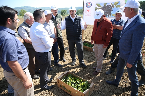 Foto - "Süper meyve" için harekete geçildi... Kent ekonomisine büyük katkı sağlayacak