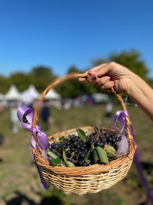 Süper meyve üretimi Türkiye'de artıyor! Yetiştirenler yaşadı