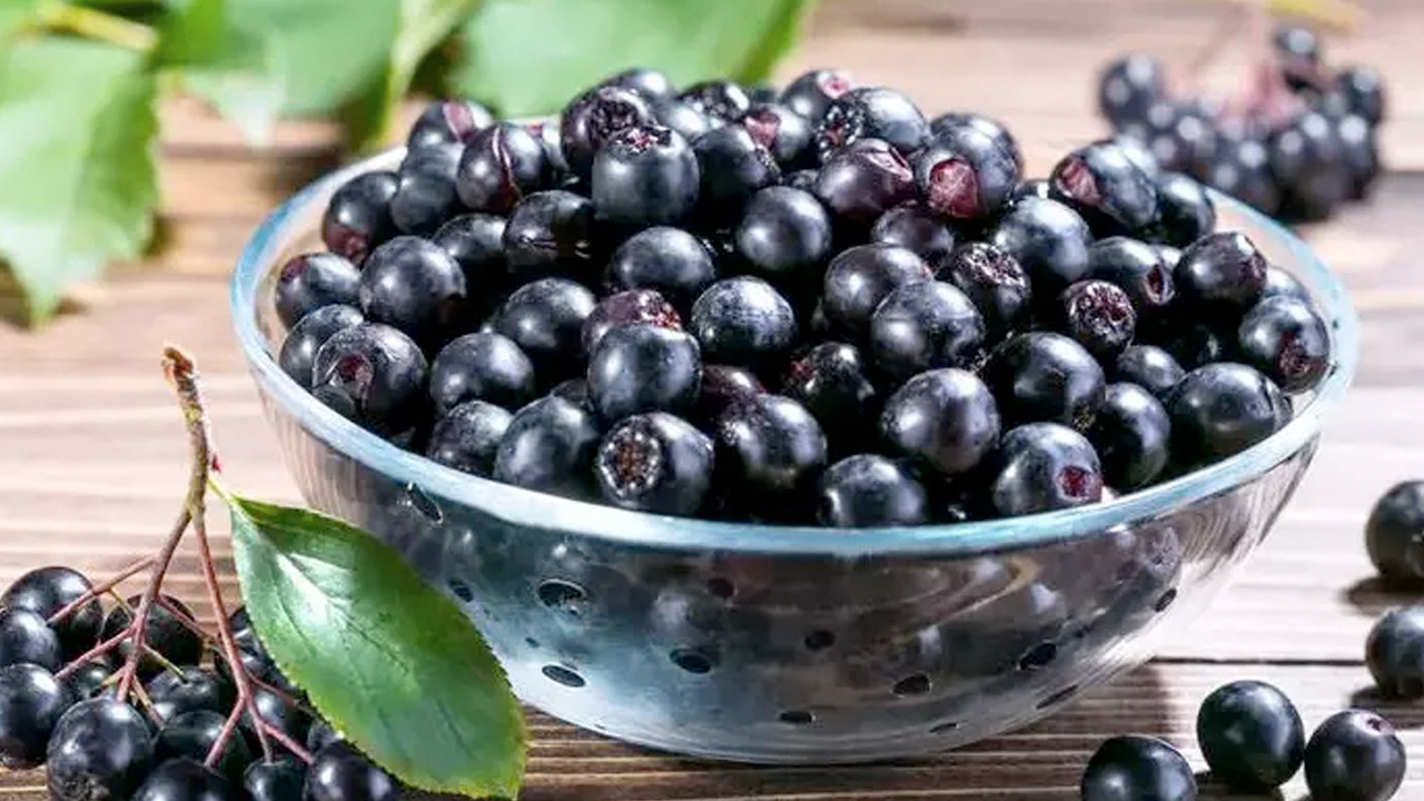 Foto - Süper meyve ilk ürünler toplandı: Herkes satın alacak