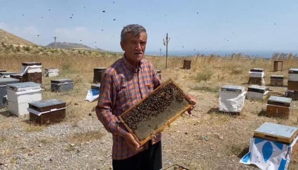 Foto - Süphan Dağı eteklerinde bal sağımı