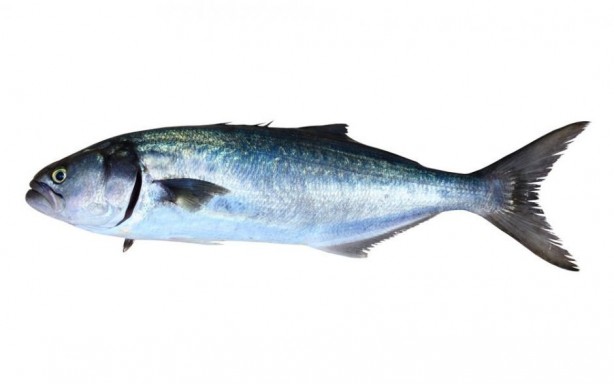 Foto - Sürekli ‘unutanlar’ dikkat! Haftada 2-3 kez yapılırsa…