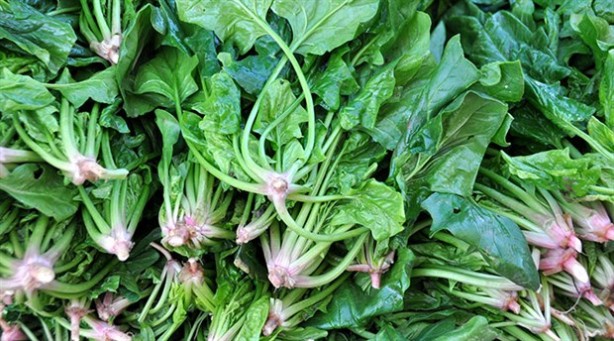 Foto - Sürekli ‘unutanlar’ dikkat! Haftada 2-3 kez yapılırsa…