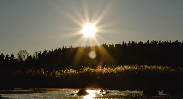 Foto - Sürekli uykunuz mu geliyor? Sebebi bu olabilir