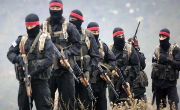 Suriye'deki Tahrir el-Şam örgütünden Türkiye duyurusu: Reddediyoruz