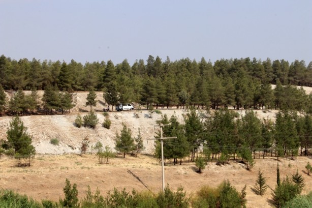 Foto - Suriyeli gencin dikkati yangını önledi