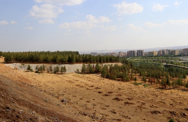 Foto - Suriyeli gencin dikkati yangını önledi