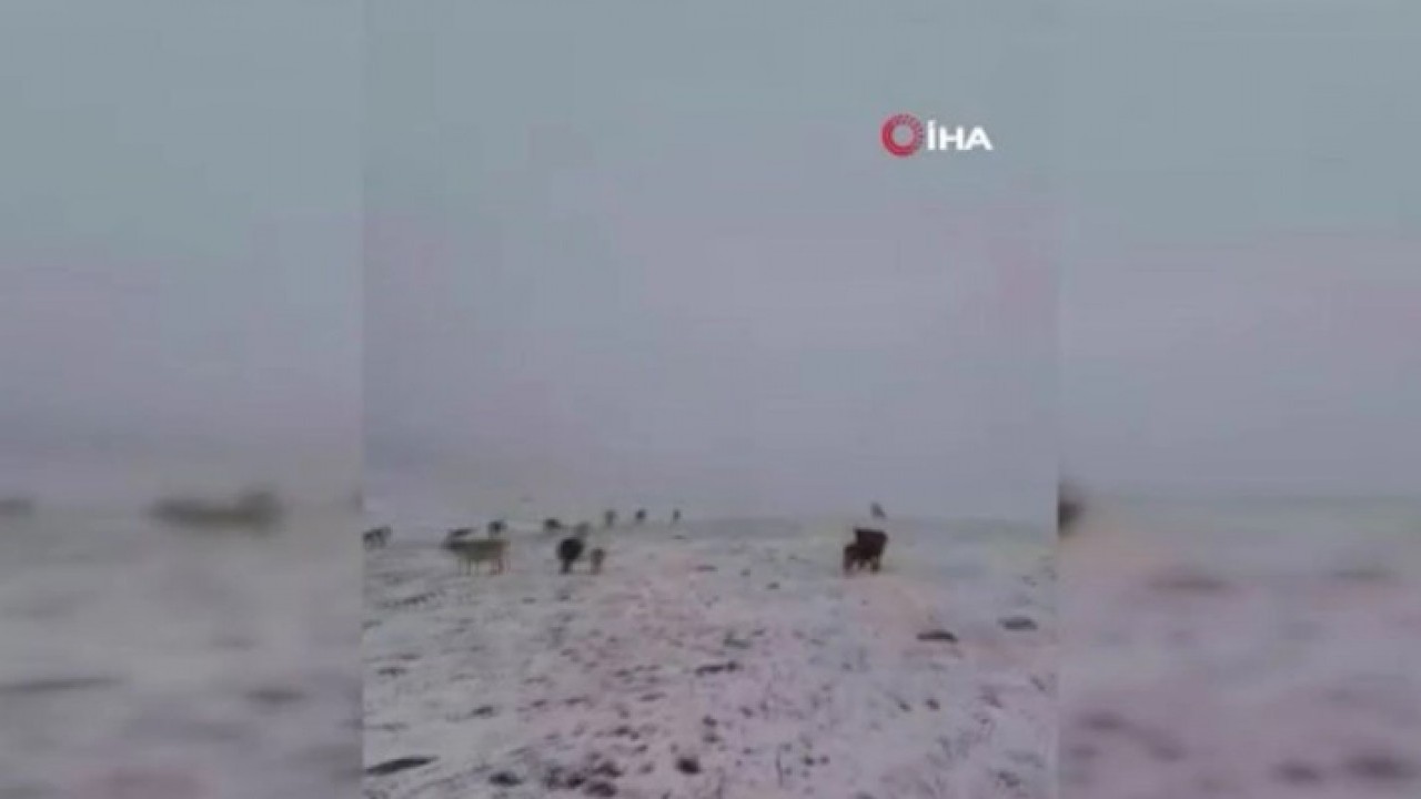 Foto - Sürpriz kar yağışı! Kış kapıyı erken çaldı