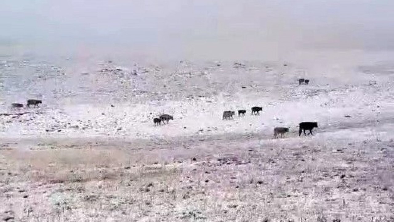 Foto - Sürpriz kar yağışı! Kış kapıyı erken çaldı