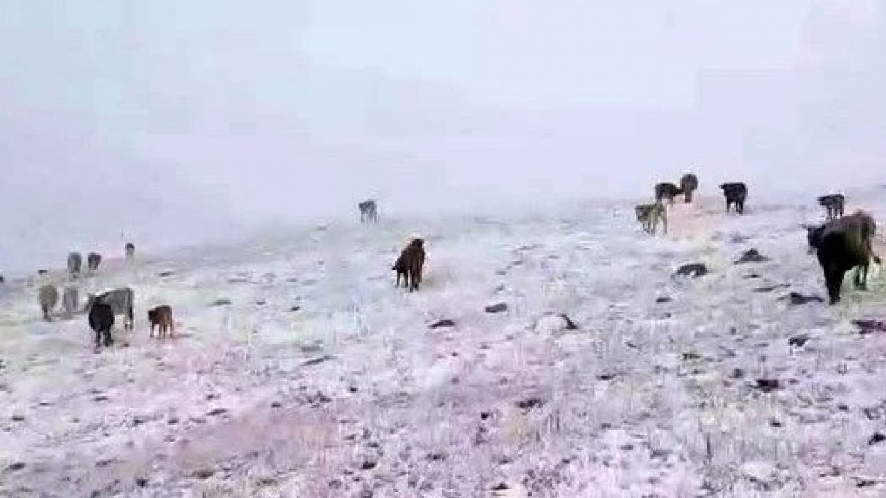 Sürpriz kar yağışı! Kış kapıyı erken çaldı