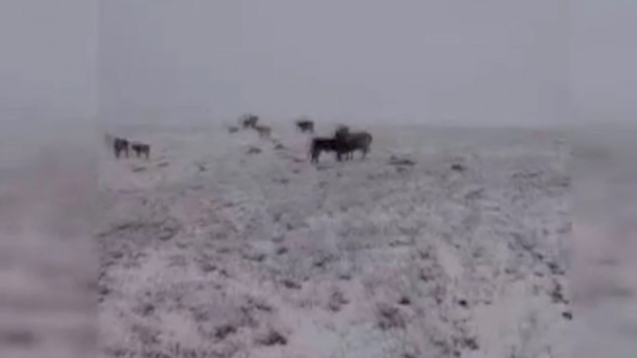 Foto - Sürpriz kar yağışı! Kış kapıyı erken çaldı