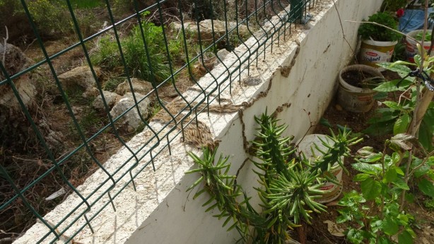 Foto - Sürü halinde istila ediyorlar! Vatandaşlar korkudan uyuyamıyor