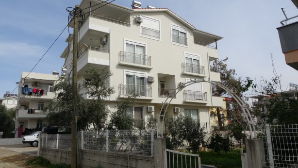 Foto - Sürü halinde istila ediyorlar! Vatandaşlar korkudan uyuyamıyor