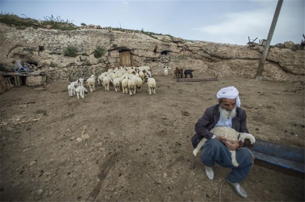 Foto - Sürü lideri biberonla besleniyor