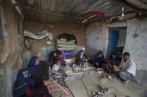 Foto - Sürü lideri biberonla besleniyor