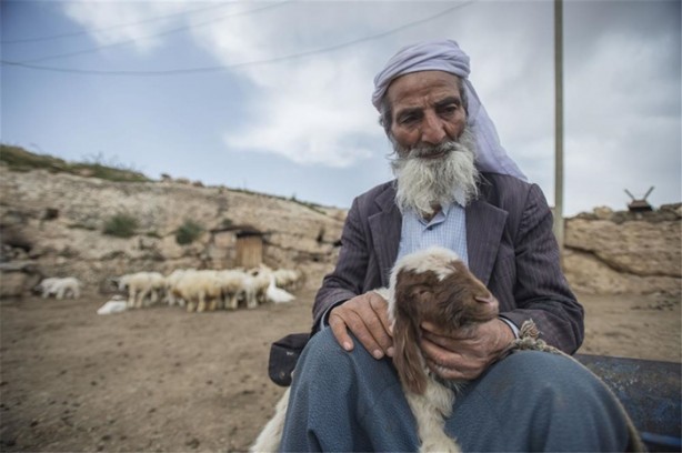 Foto - Sürü lideri biberonla besleniyor