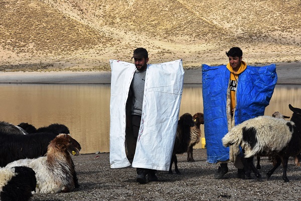 Foto - Sürüler su içmeye geldi! Ortaya bu manzara çıktı