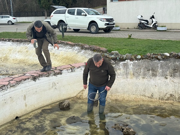 Foto - Süs havuzunda şans eseri bulundu! Ekipler harekete geçti