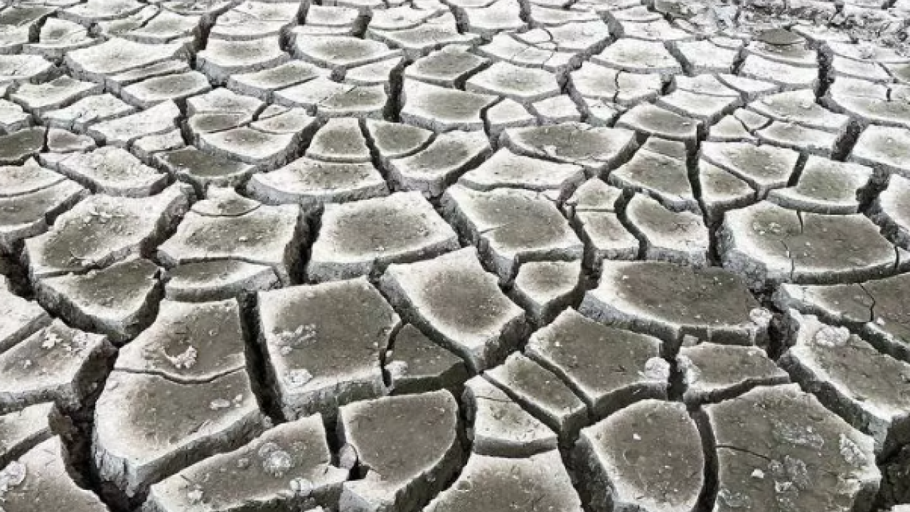 Sususluktan kırılacaklar: Komşudan kuraklığa deniz suyu çözümü!