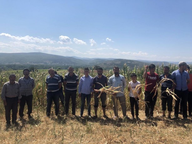 Foto - Su verilmeyince yüzlerce dönüm mahsul kurudu! Çiftçiler mağdur oldu