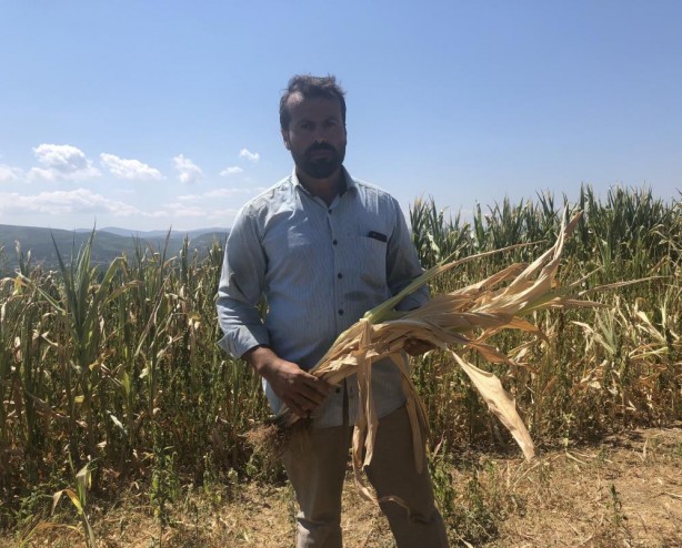 Su verilmeyince yüzlerce dönüm mahsul kurudu! Çiftçiler mağdur oldu