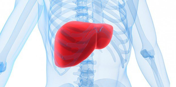 Foto - Susuzluk hasta ediyor!