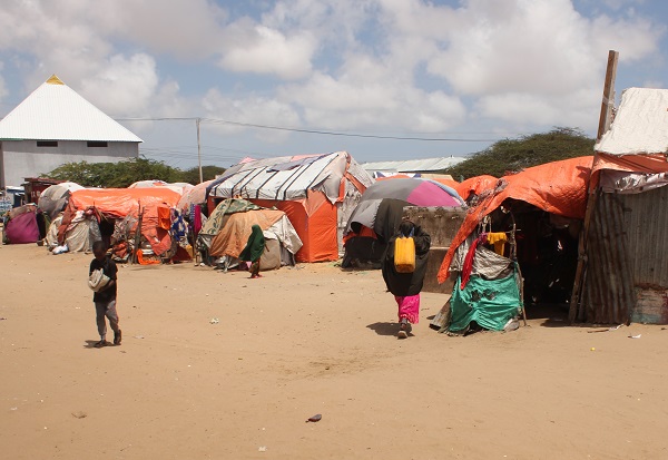 Foto - Susuzluktan kaçtılar aynı kaderi yaşadılar