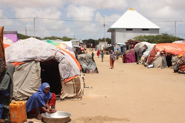 Foto - Susuzluktan kaçtılar aynı kaderi yaşadılar