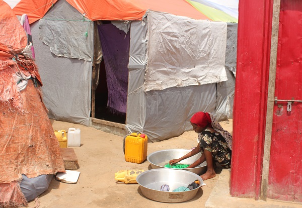 Foto - Susuzluktan kaçtılar aynı kaderi yaşadılar