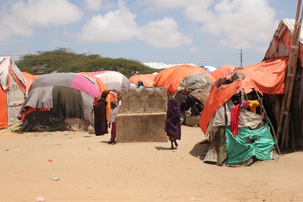 Foto - Susuzluktan kaçtılar aynı kaderi yaşadılar