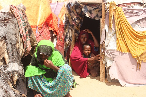 Foto - Susuzluktan kaçtılar aynı kaderi yaşadılar