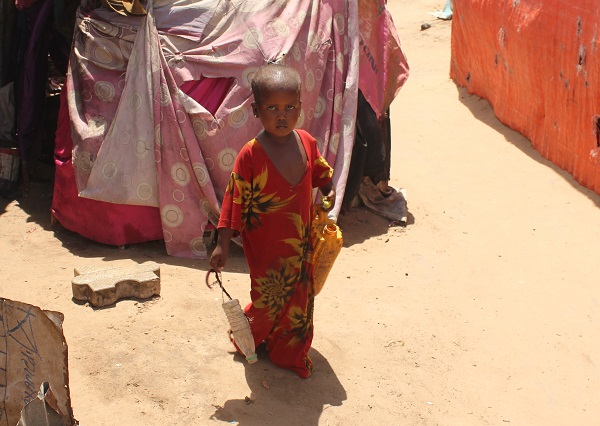 Foto - Susuzluktan kaçtılar aynı kaderi yaşadılar