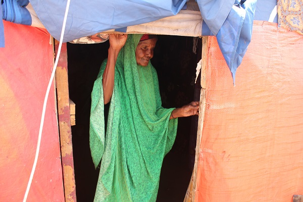 Foto - Susuzluktan kaçtılar aynı kaderi yaşadılar