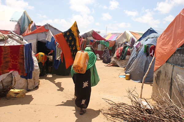 Foto - Susuzluktan kaçtılar aynı kaderi yaşadılar