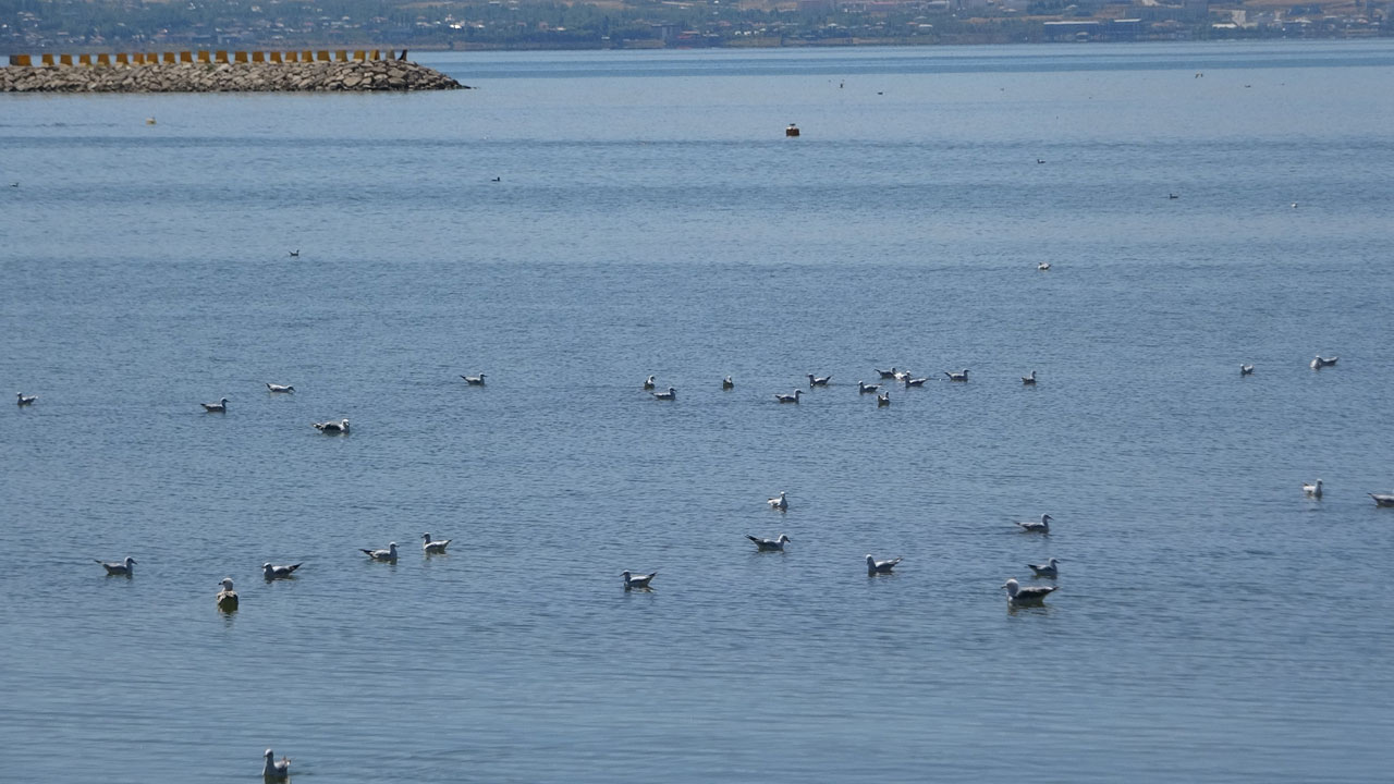Foto - Susuzluk kapıya dayandı! Van Gölü göz göre göre kuruyor