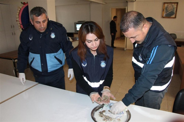 Foto - Süt bidonundan çıkanlar zabıtayı hayrete düşürdü