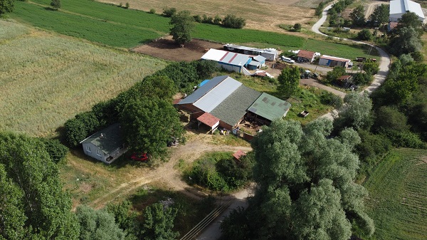 Foto - Süt bulamayınca işini bırakıp sürü sahibi oldu