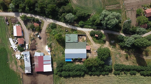 Foto - Süt bulamayınca işini bırakıp sürü sahibi oldu