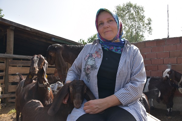 Foto - Süt bulamayınca işini bırakıp sürü sahibi oldu