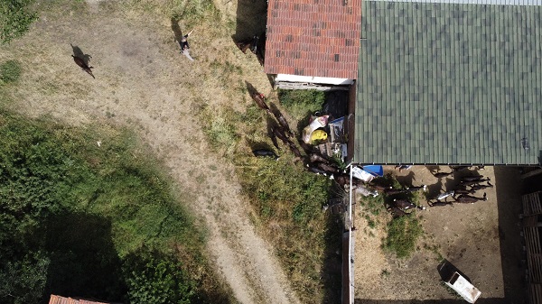 Foto - Süt bulamayınca işini bırakıp sürü sahibi oldu