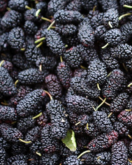 Foto - Sütten 25 kat fazla kalsiyum, ıspanaktan 10 kat fazla demir içeriyor! Geçmişten gelip peşimizi bırakmayan inanılmaz besin