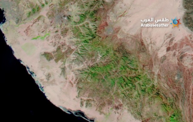 Foto - Suudi Arabistan'da etkili yağışlar yerini yeşile bıraktı!