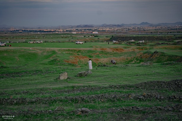 Foto - Suudi Arabistan'da etkili yağışlar yerini yeşile bıraktı!
