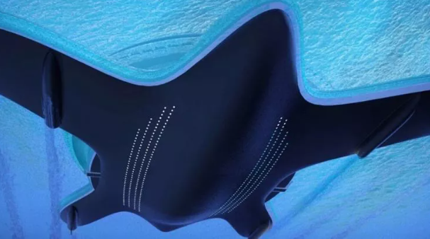 Suudi Arabistan'da inşa edilecek! İşte dünyanın en büyük yatı