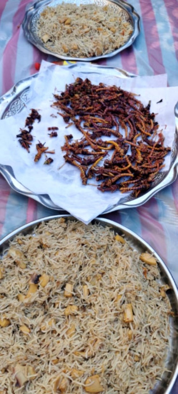 Foto - Suudiler, ülkeyi istila eden çekirgeleri yemeye başladı