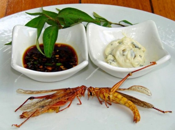 Foto - Suudiler, ülkeyi istila eden çekirgeleri yemeye başladı