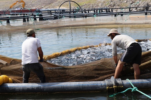 Su ürünleri yetiştiricilerine verilecek destekler belirlendi